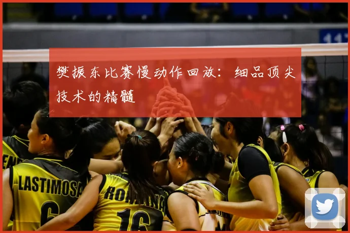 樊振东比赛慢动作回放：细品顶尖技术的精髓