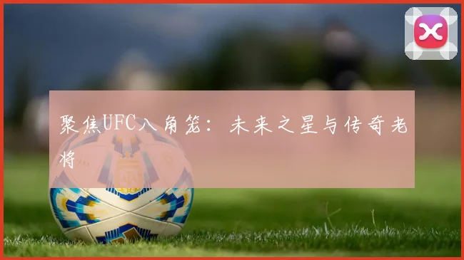 聚焦UFC八角笼：未来之星与传奇老将