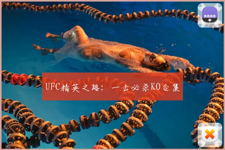 UFC精英之路:一击必杀KO合集