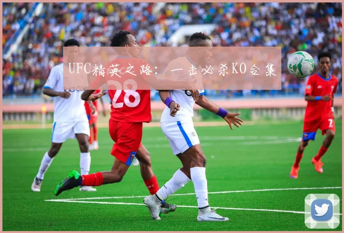 UFC精英之路：一击必杀KO合集
