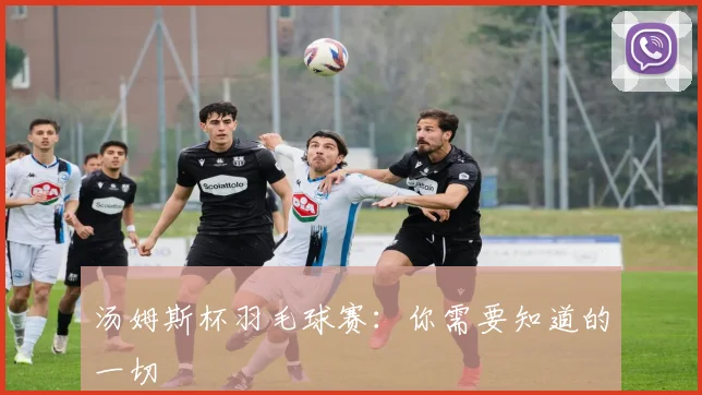 汤姆斯杯羽毛球赛：你需要知道的一切