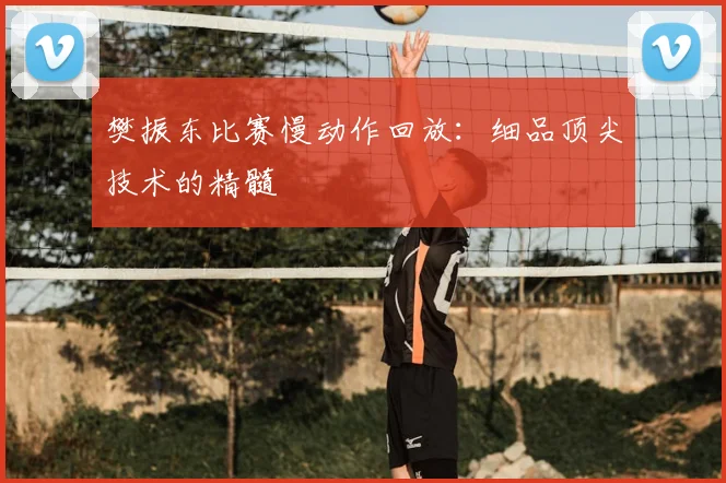 樊振东比赛慢动作回放：细品顶尖技术的精髓