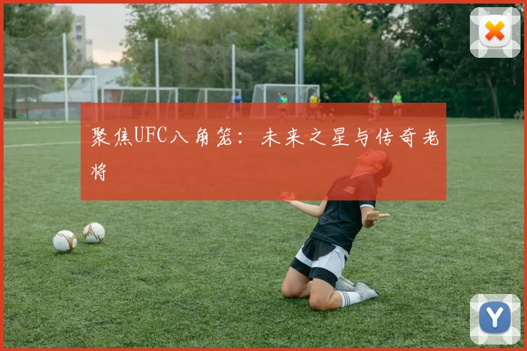 聚焦UFC八角笼：未来之星与传奇老将