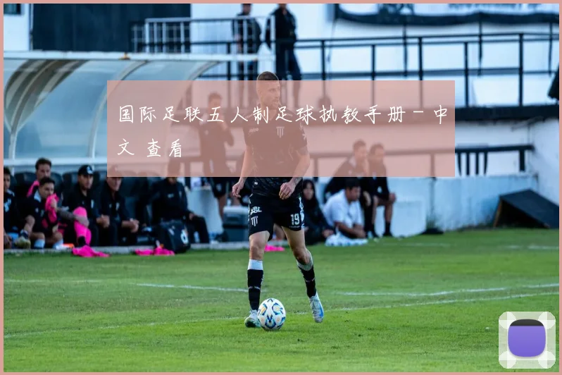国际足联五人制足球执教手册 - 中文 查看