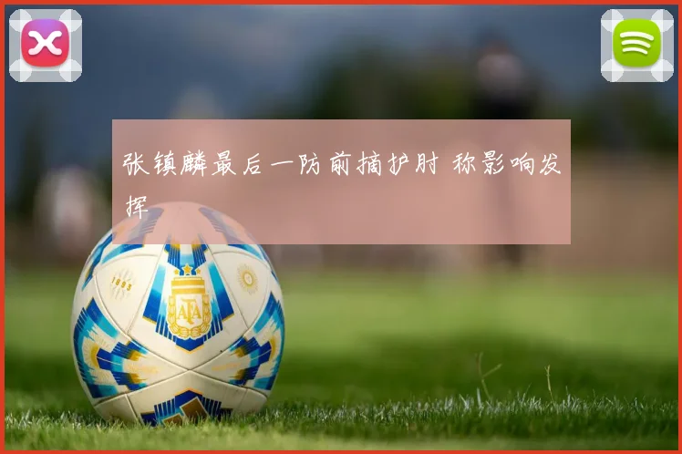 张镇麟最后一防前摘护肘 称影响发挥