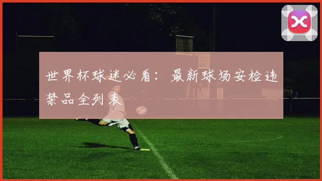 世界杯球迷必看:最新球场安检违禁品全列表